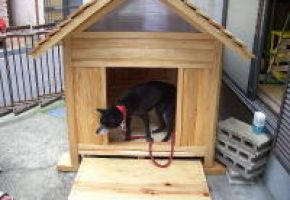 体力的にも弱ってきた老犬を優しくいたわってあげれるような犬小屋完成間近です。
